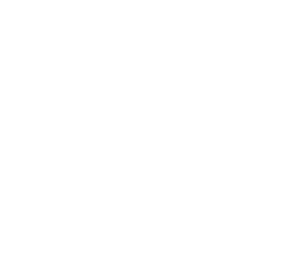 Vet Icon